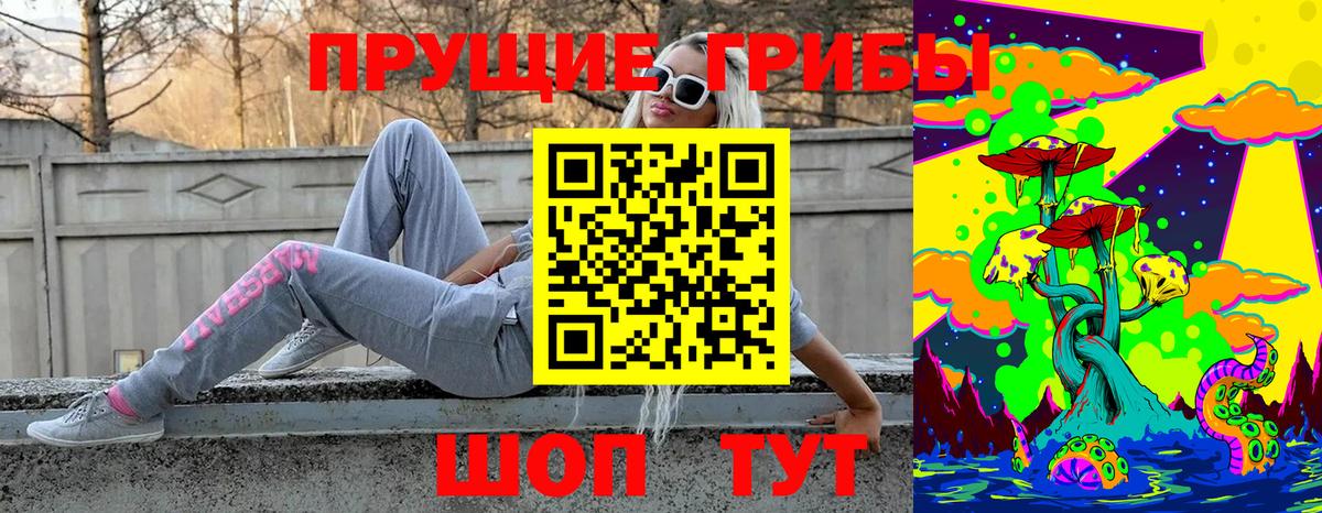 Касимов  Псилоцибиновые грибы Psilocybe  купить закладку  Вход с VPN  Псилоцибиновые грибы Magic Shrooms 